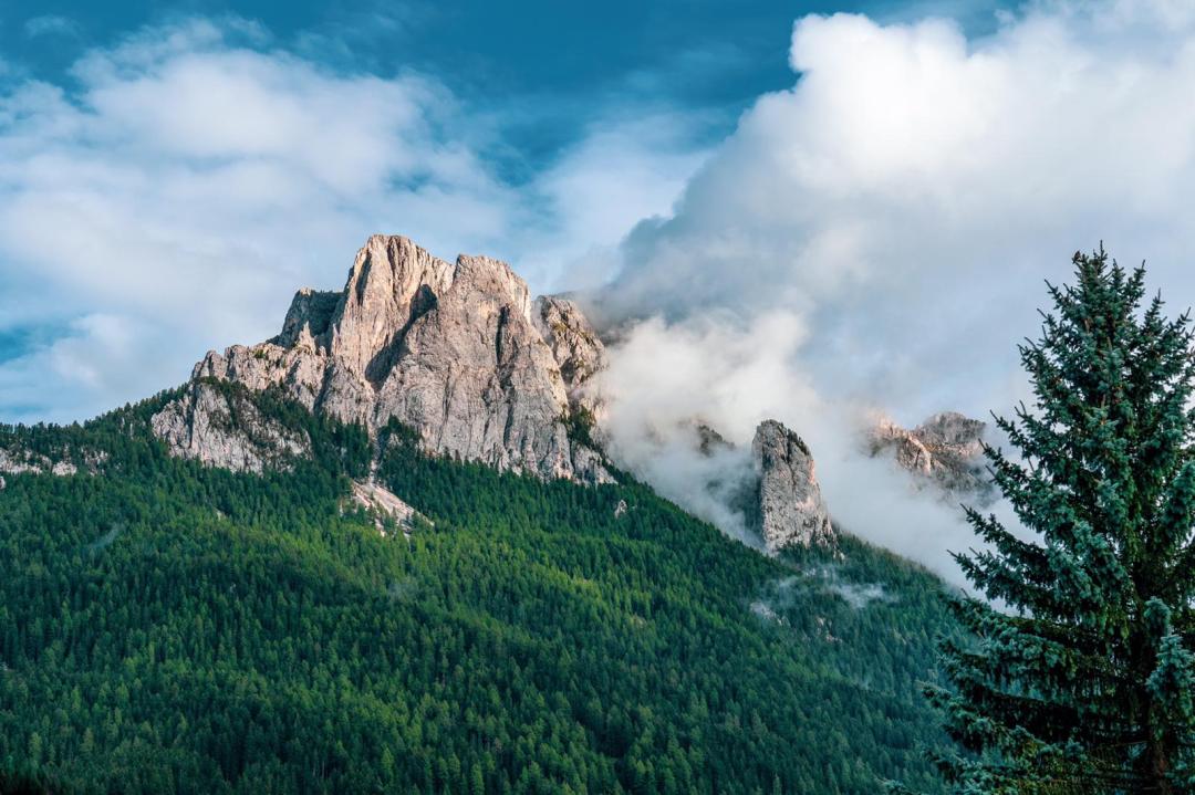 Val di fassa dolomiti pefc concorso